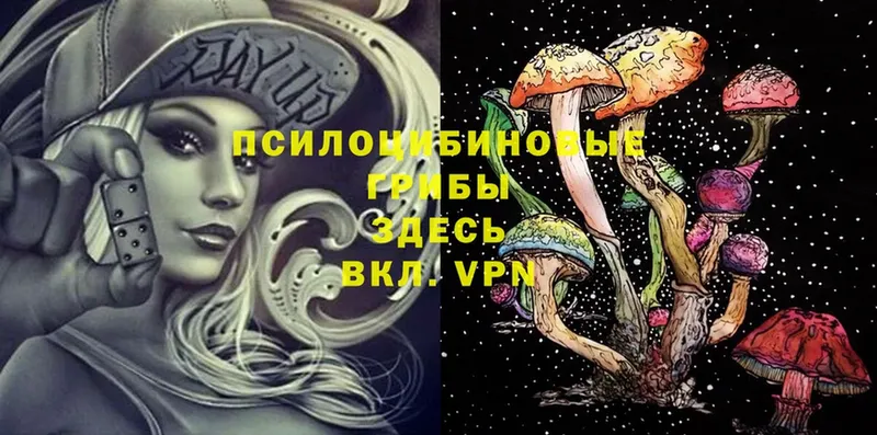 Галлюциногенные грибы Cubensis  Чкаловск 